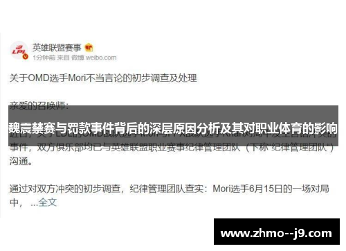 魏震禁赛与罚款事件背后的深层原因分析及其对职业体育的影响