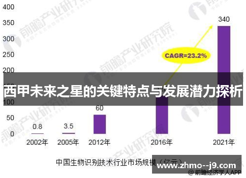 西甲未来之星的关键特点与发展潜力探析