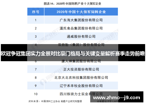 欧冠争冠集团实力全景对比豪门格局与关键变量解析赛季走势前瞻