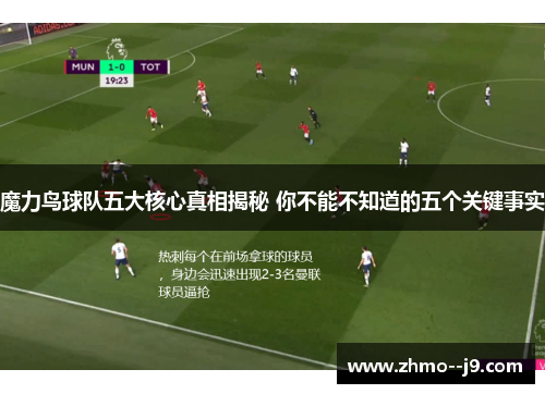 魔力鸟球队五大核心真相揭秘 你不能不知道的五个关键事实