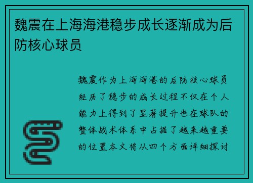魏震在上海海港稳步成长逐渐成为后防核心球员