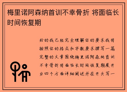 梅里诺阿森纳首训不幸骨折 将面临长时间恢复期