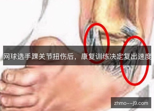 网球选手踝关节扭伤后，康复训练决定复出速度